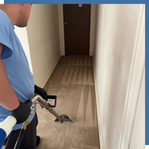 carpet cleaning