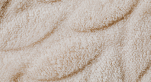 Carpet & Rug Cleaning