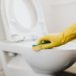 Image of a toilet being cleaned