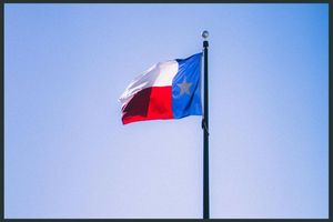 Texas flag