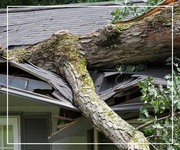 Residential Storm Damage Image of a fallen tree and damaged roof