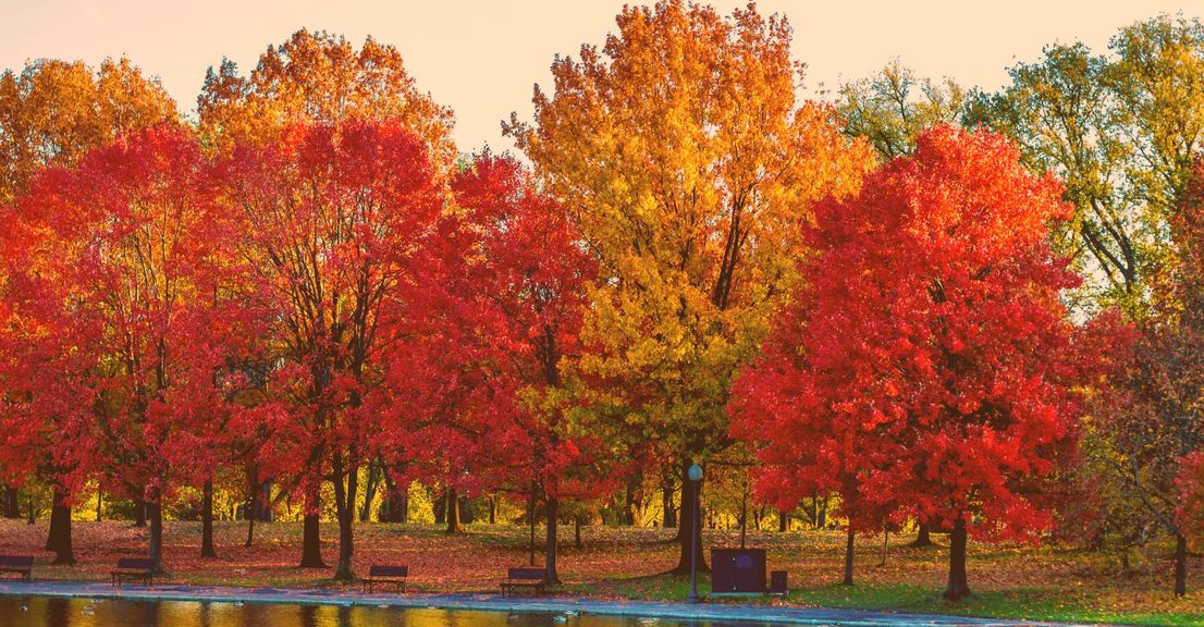 Top Tips for Celebrating Fall in Your Heron Pointe Apartment!.jpg