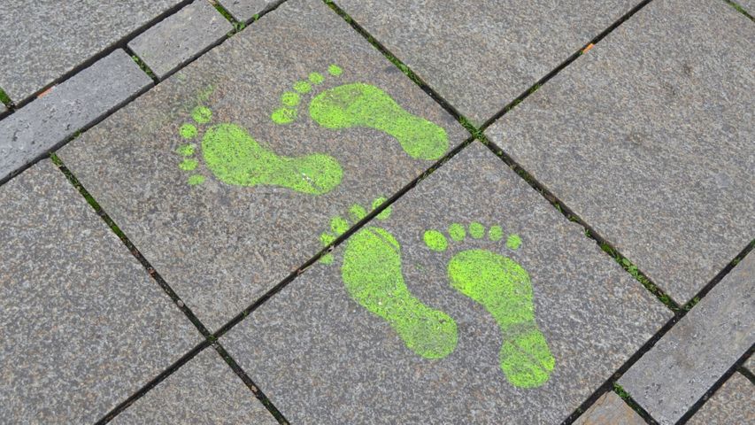 green footprints