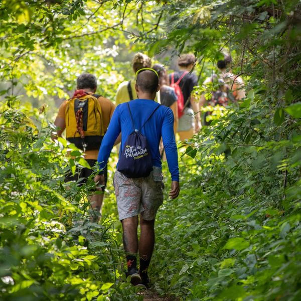 hiking hiking