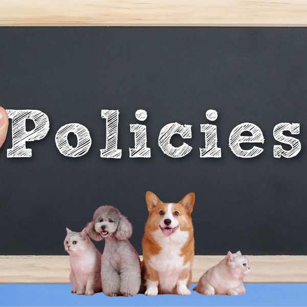 Understand Pet Policies.jpg