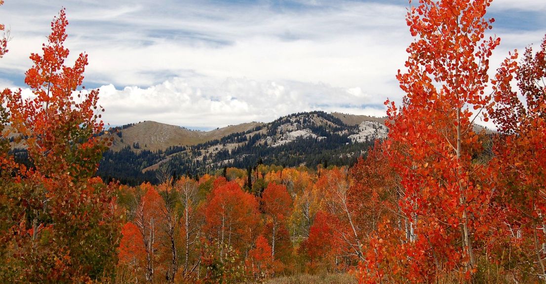 Four Reasons You'll Love Living in Berthoud .jpg