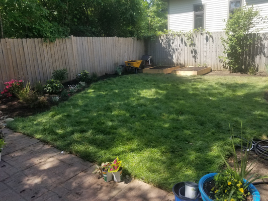 Lawn Restoration