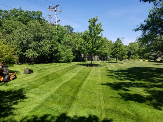 Lawn Mowing Near Me