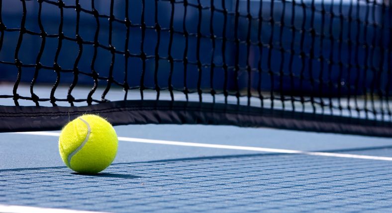 Image of a tennis ball next to a net