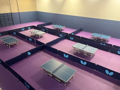 TT Courts.JPG