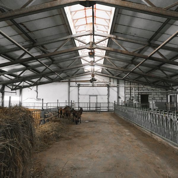 DIY Barns and Sheds DIY Barns and Sheds