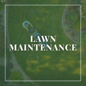 Lawn Maintenance Services