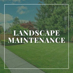 Landscape Maintenance Services