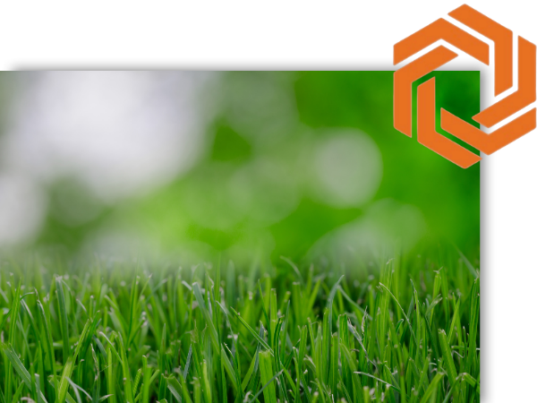 Lawn Maintenance.png