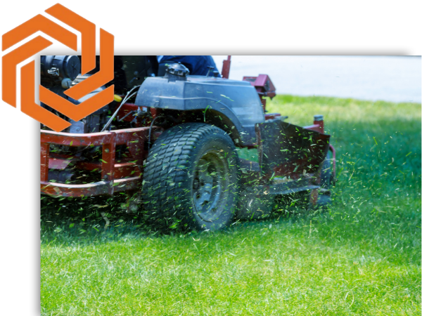 Lawn Maintenance2.png
