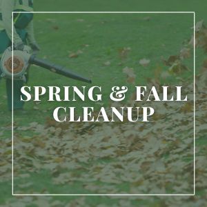 Spring & Fall Cleanup Services