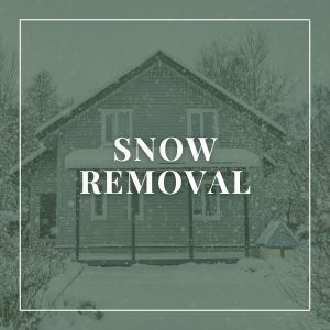 Snow Removal Services