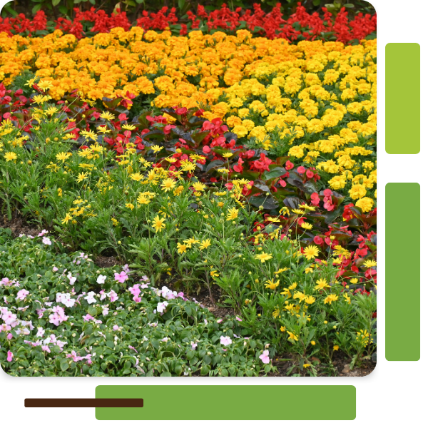 Untitled design (10).png