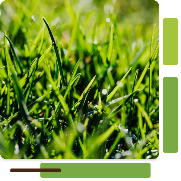 Untitled design (12).png