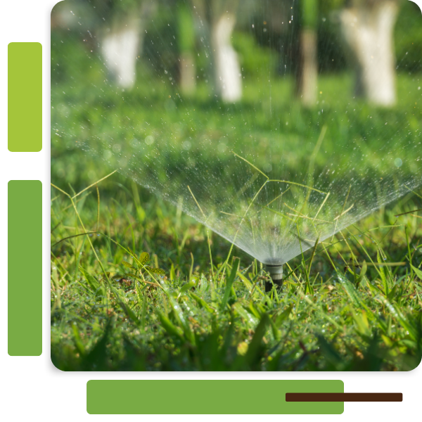 Untitled design (11).png