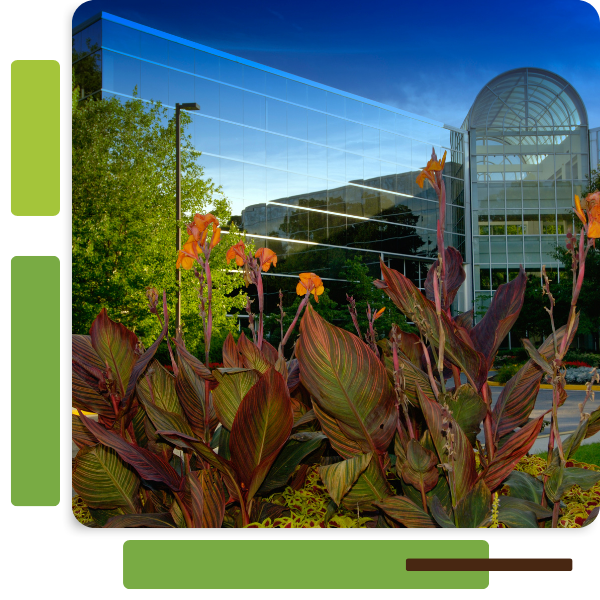 Commercial Landscaping