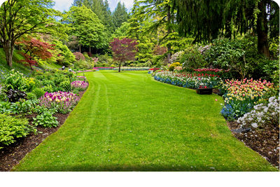 Landscaping Services