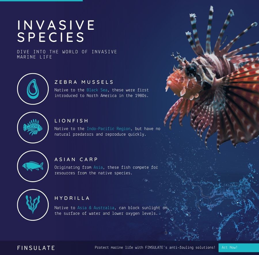 Invasive Species infographic