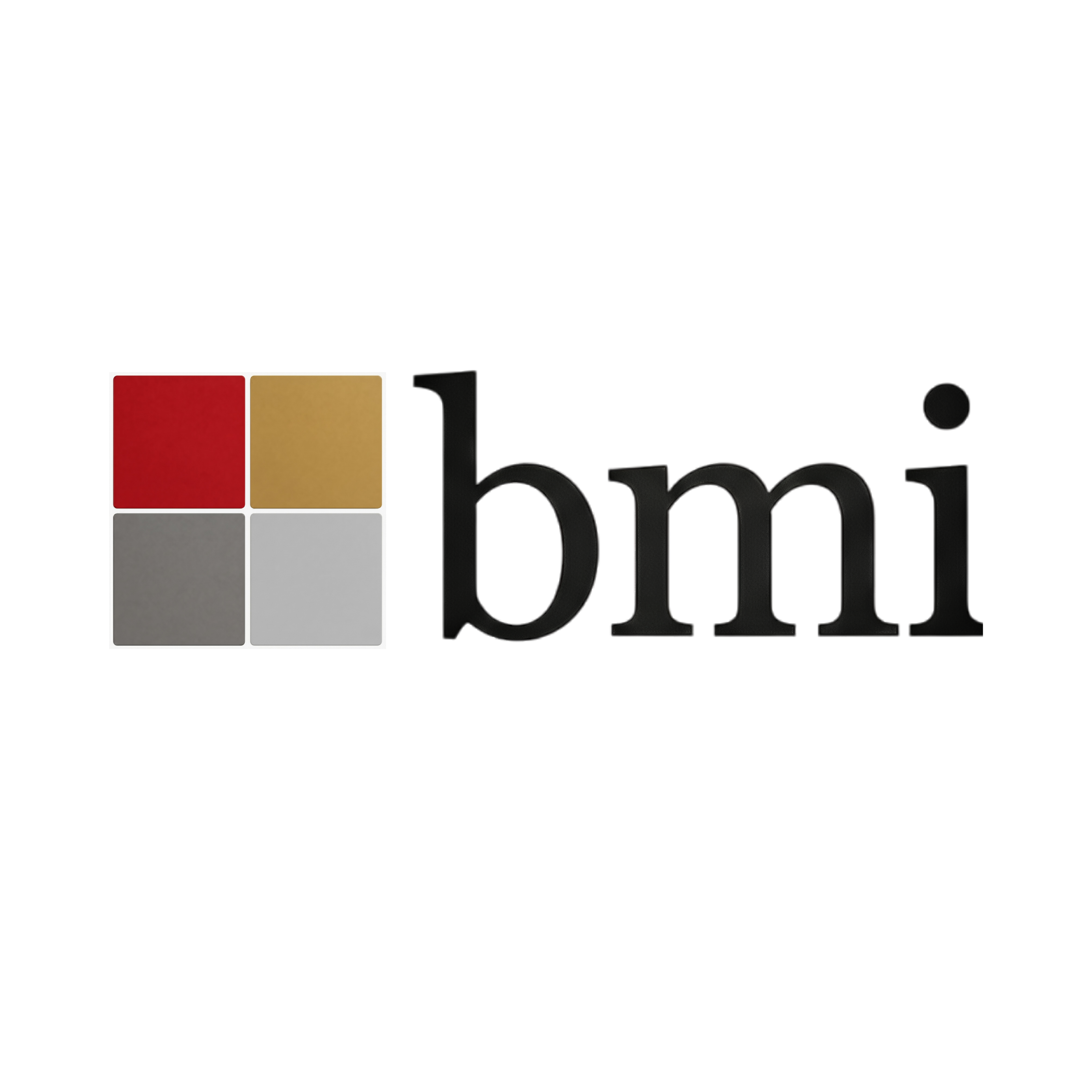 BMI Capital International LLC BMI Capital International LLC
