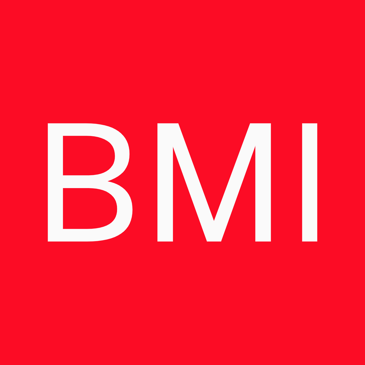 BMI Capital International LLC
