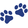 Pets-5980e87a43986.png