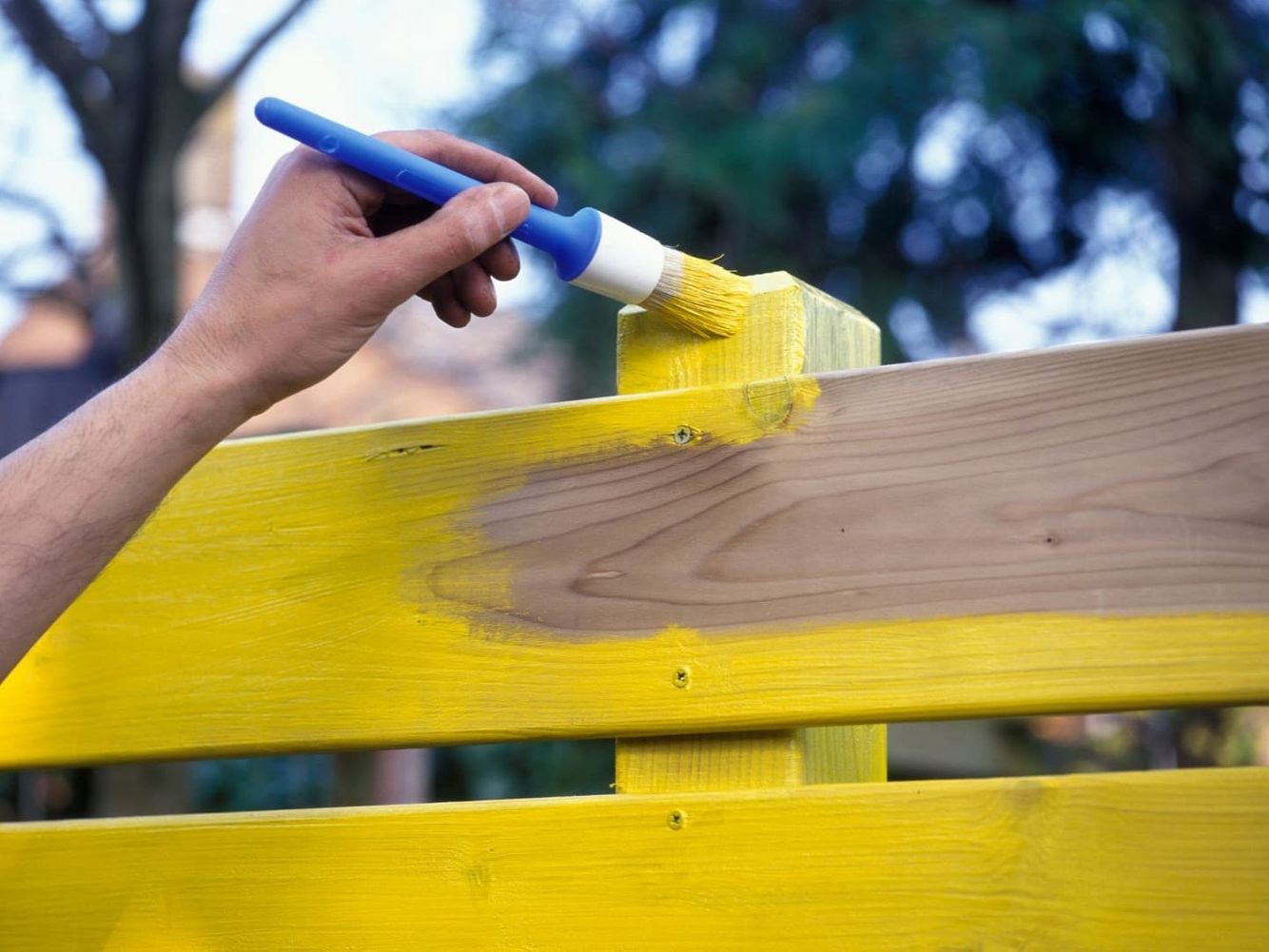 Fence Painting Service in DePaul Chicago