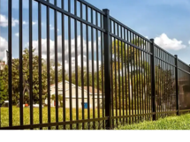 Aluminum Fences (1).png