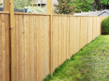 Privacy Fences.png