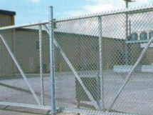 Untitled design (17).png