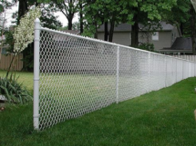 Untitled design (16).png