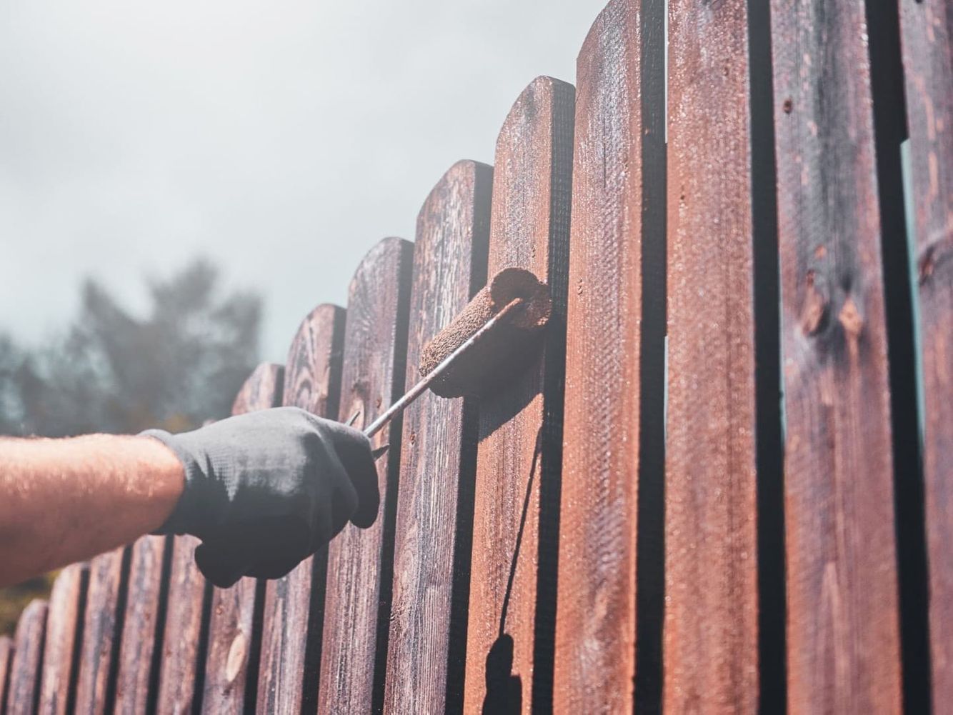 Wood fence painting in Rogers Park, Chicago