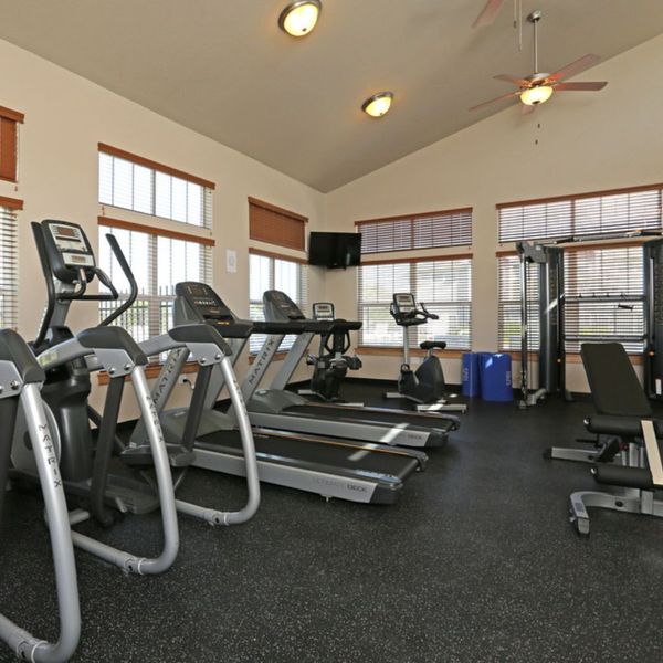 Stay Fit and Active in Our Fitness Room.jpg