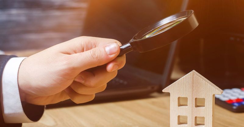 person holding a magnifying glass