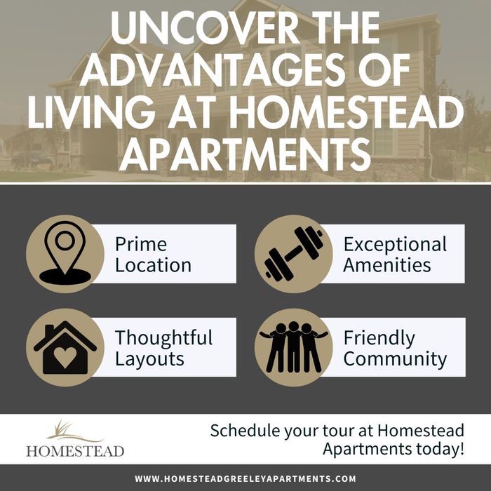 infographic that lists reasons to move to Homestead Apartments