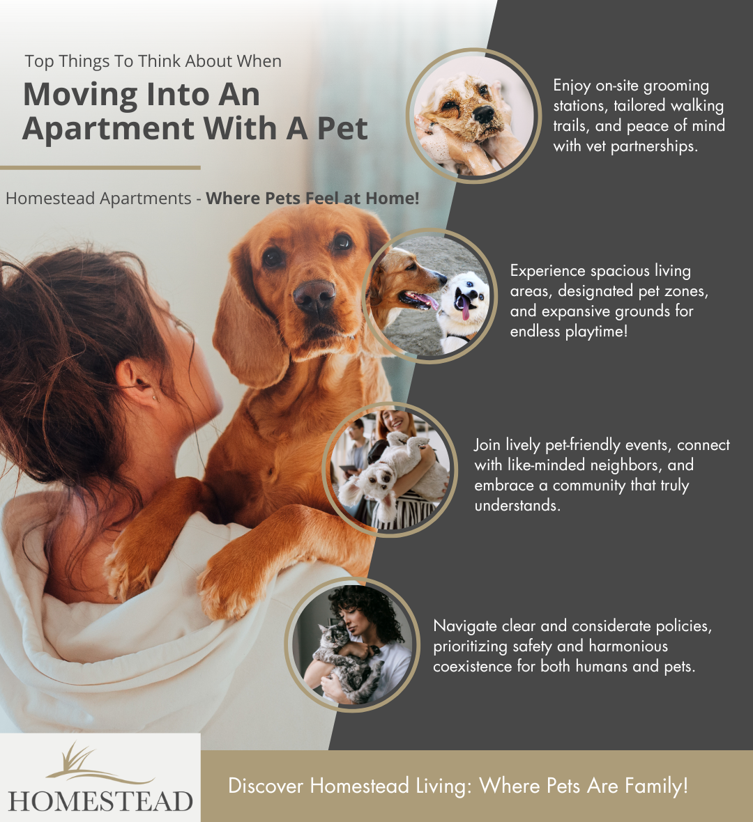 Infographic - Top Things To Think About When Moving Into An Apartment With A Pet.png