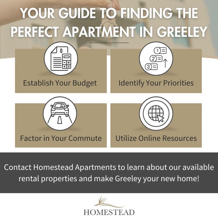 infographic that serves as a guide to finding the perfect Greeley apartment