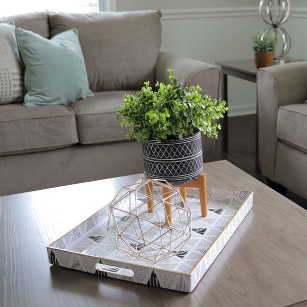 image of a plant on a coffee table