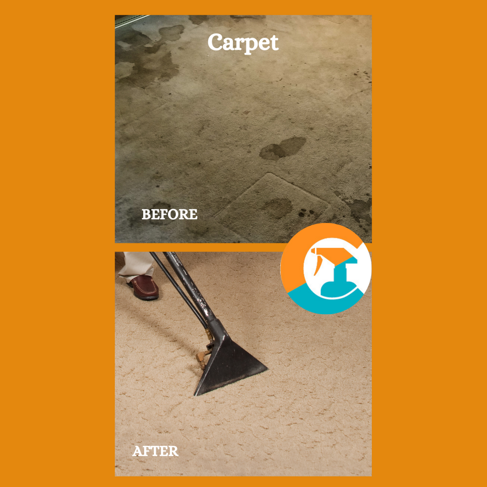 carpet (1).png