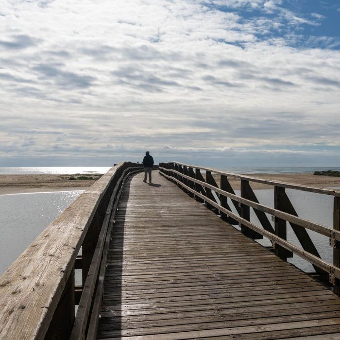 walking bridge