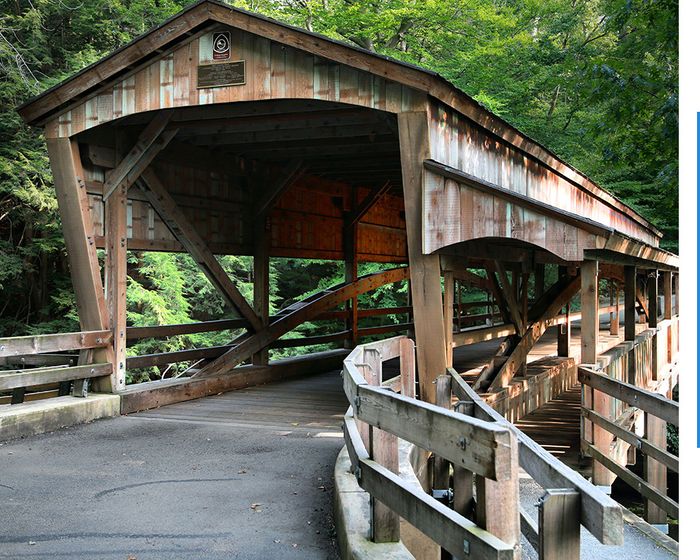 A historic lumber bridge