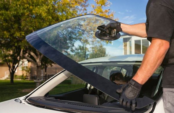 professional installing windshield
