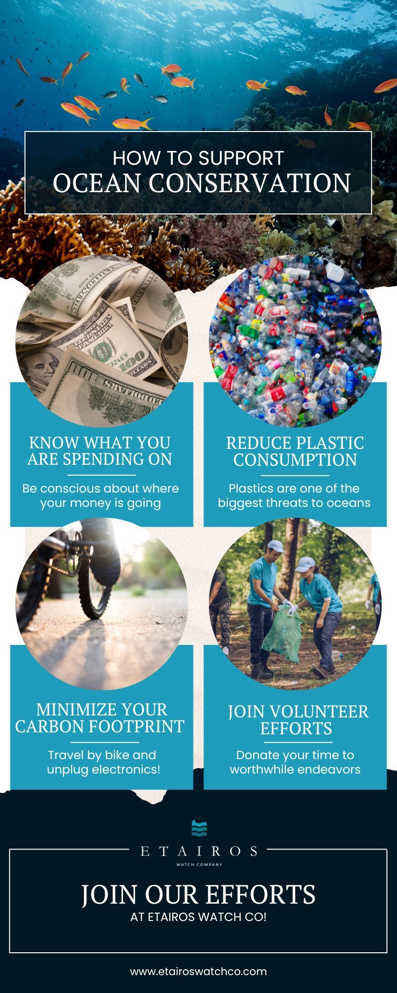 How to Support Ocean Conservation Infographic.jpg