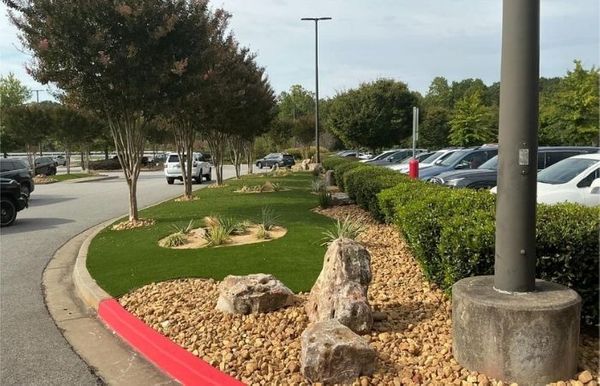 Commercial turf in around a parking lot