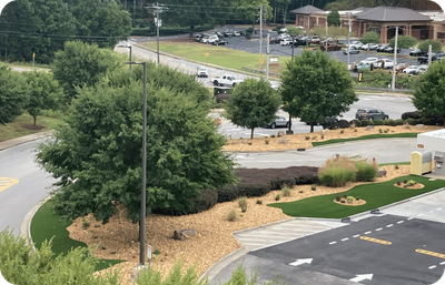 Aerial view of a parking lot with a landscaped island containing trees, shrubs, and turf.