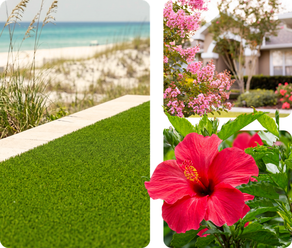 pensecola beach 2.png